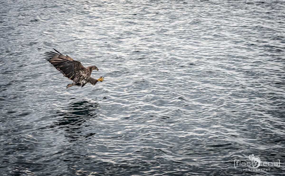 Lofoten 2019 086