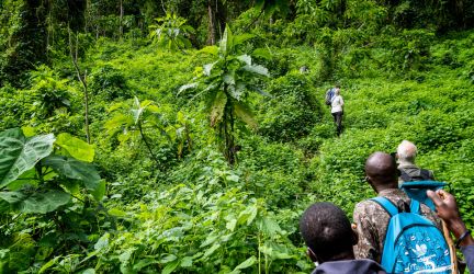 Bwindi NP & Mabamba