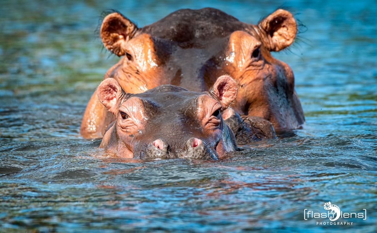 03 Victoria Nile 033