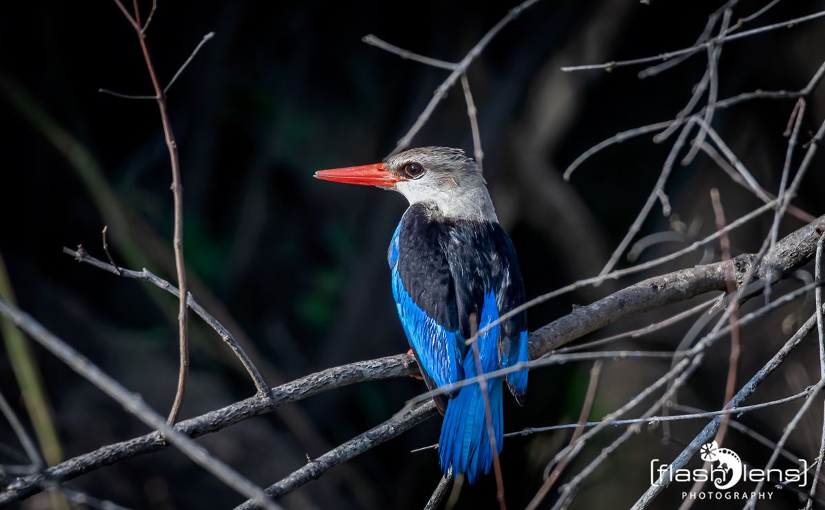 03 Victoria Nile 038