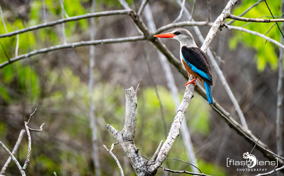 03 Victoria Nile 039