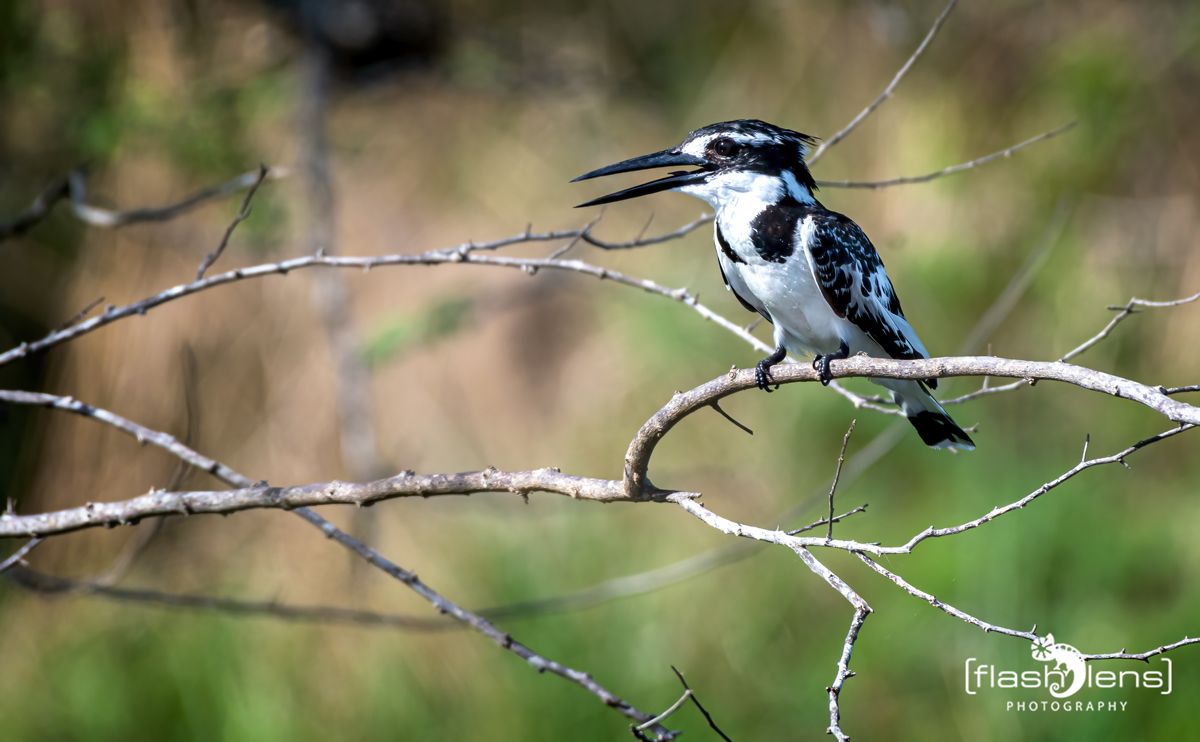 03 Victoria Nile 040