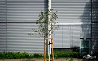 01 Berlin Moabit 003