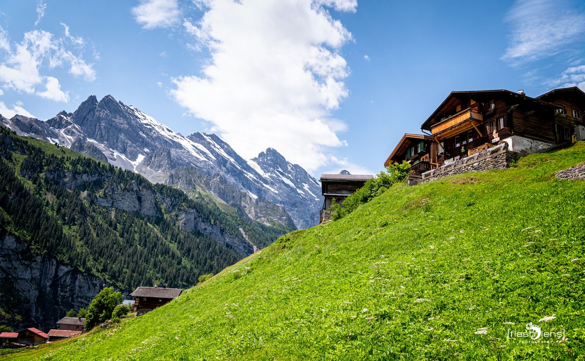 001 Grindelwald 008