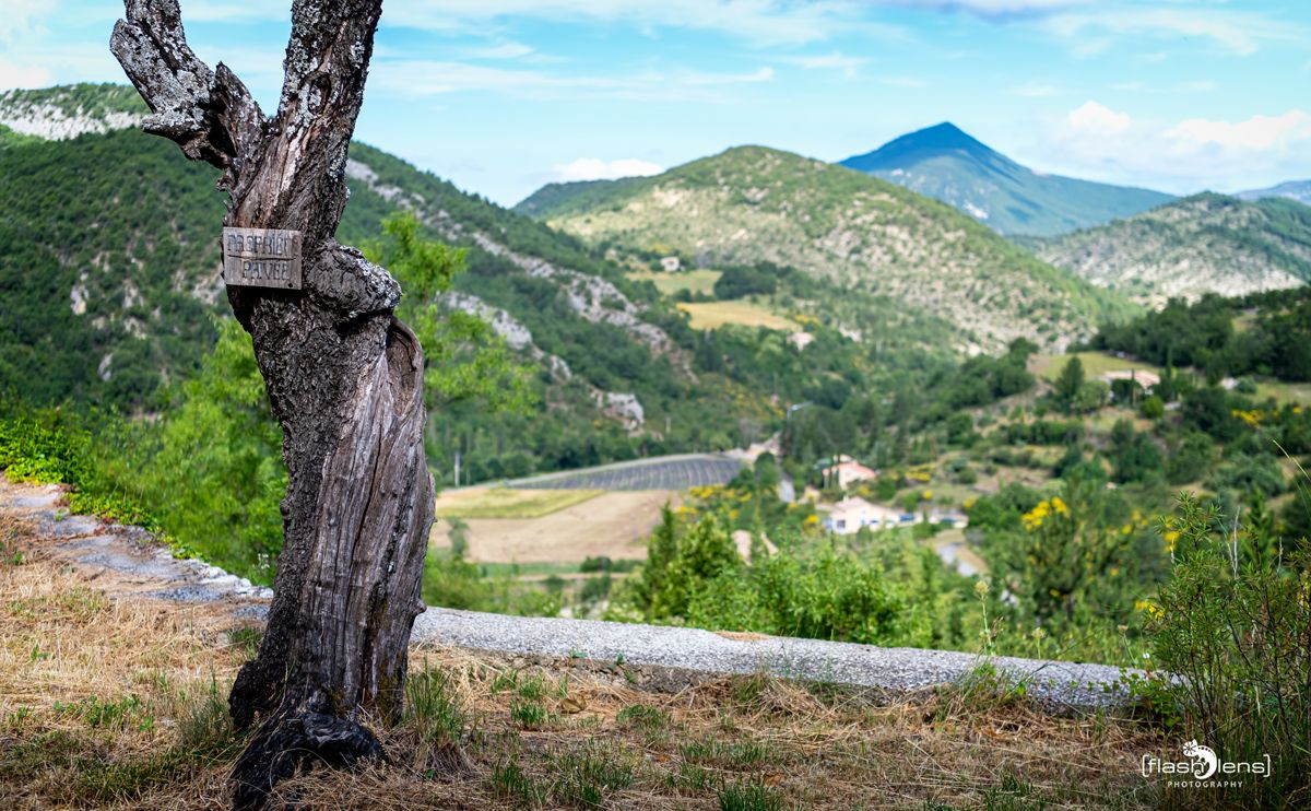 002 Dept Valcluse 003