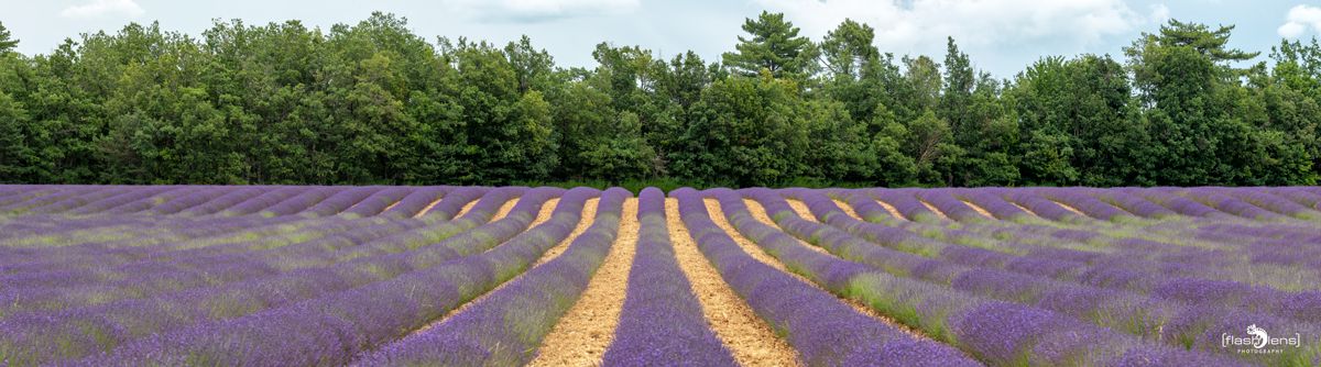 002 Dept Valcluse 020