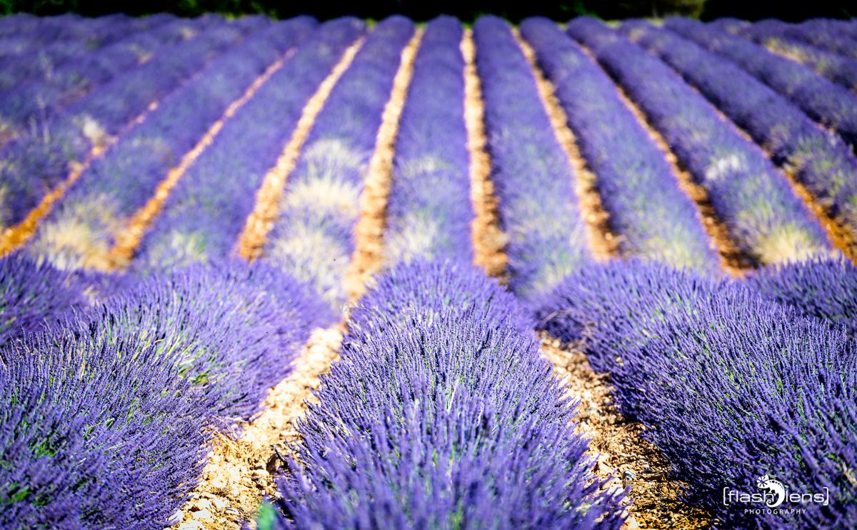 002 Dept Valcluse 022