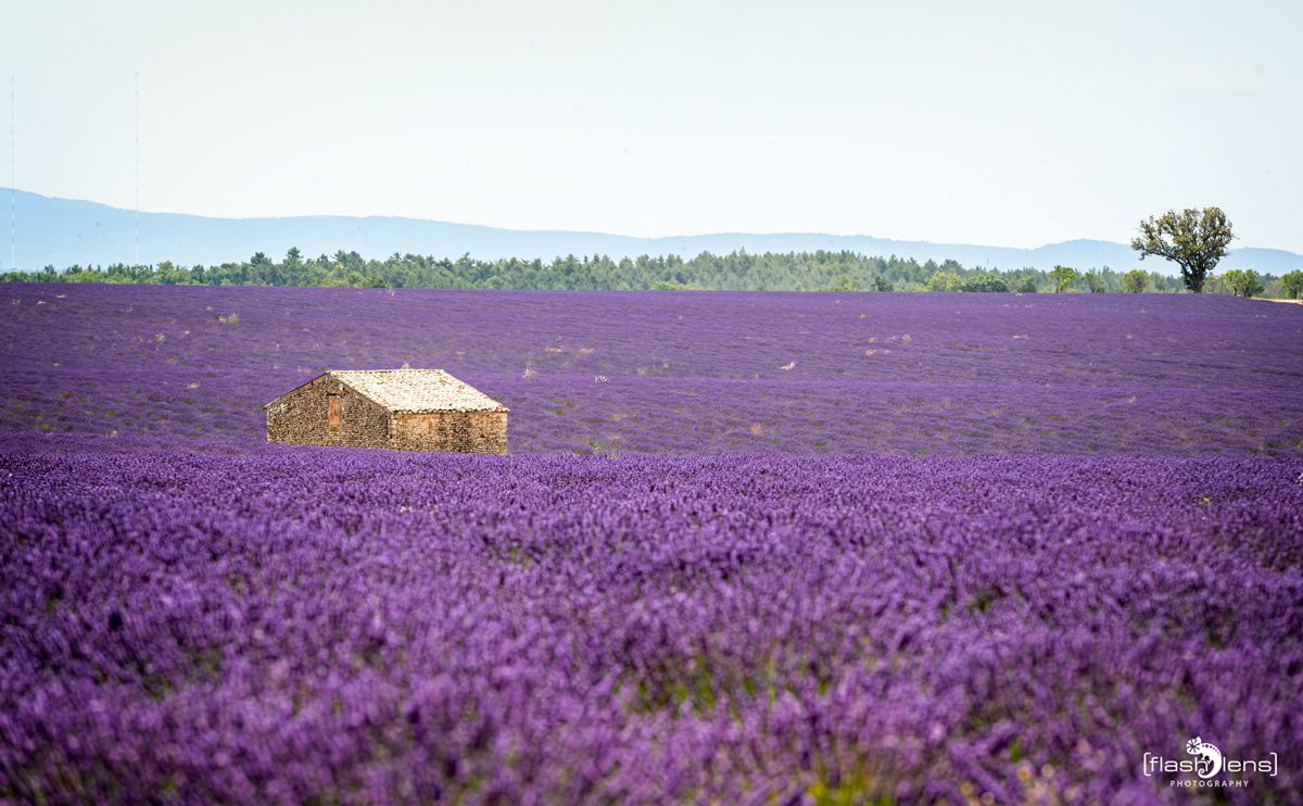 02 Haute Provence 002