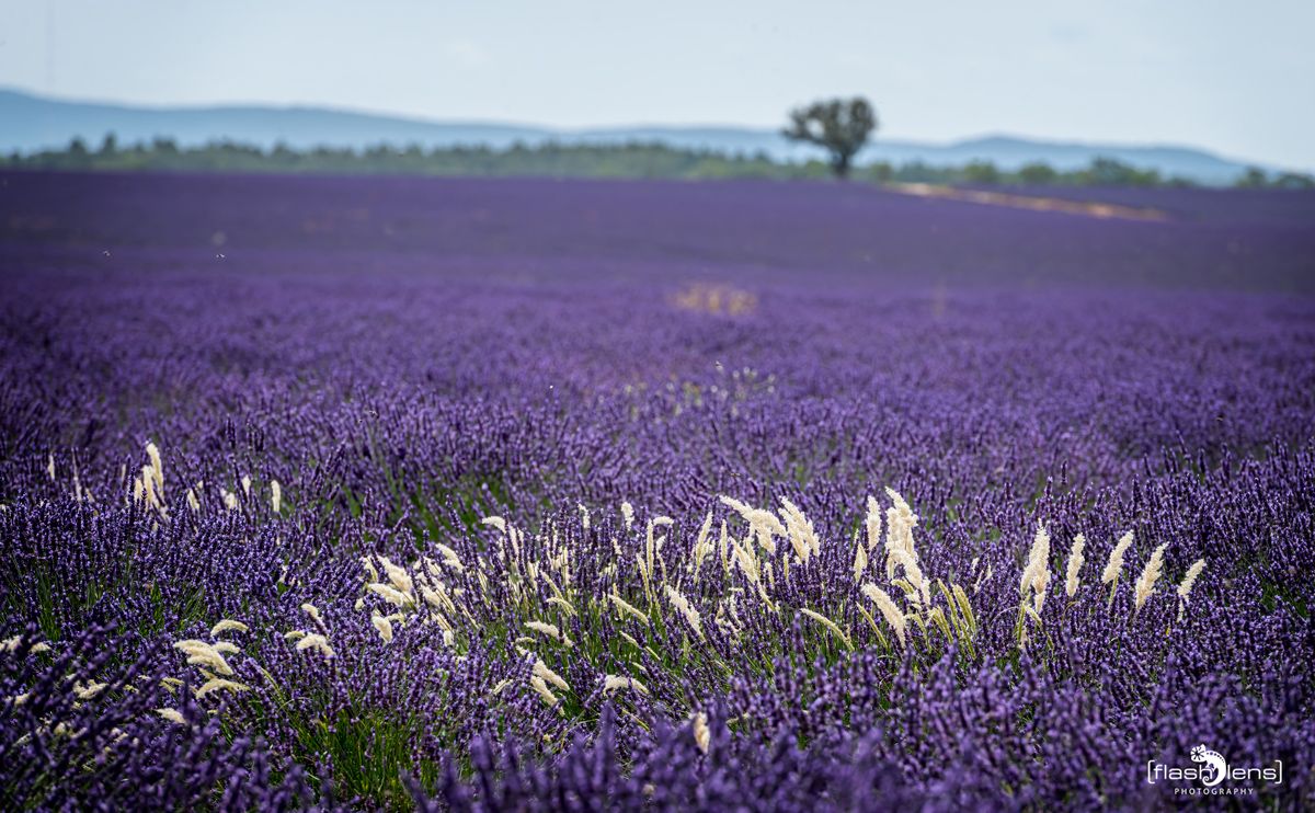 02 Haute Provence 003