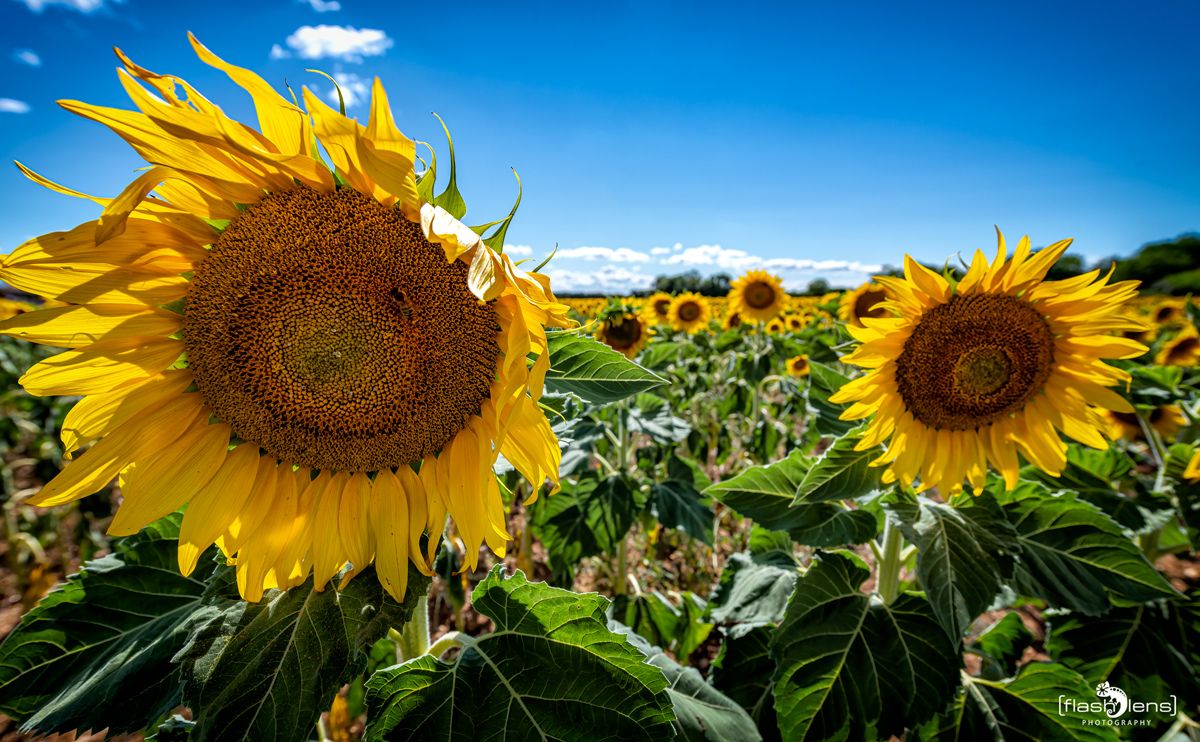 02 Haute Provence 004