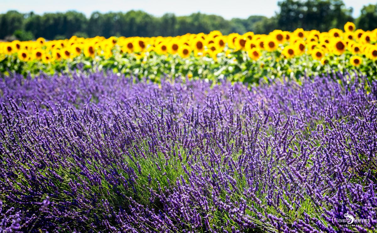 02 Haute Provence 005