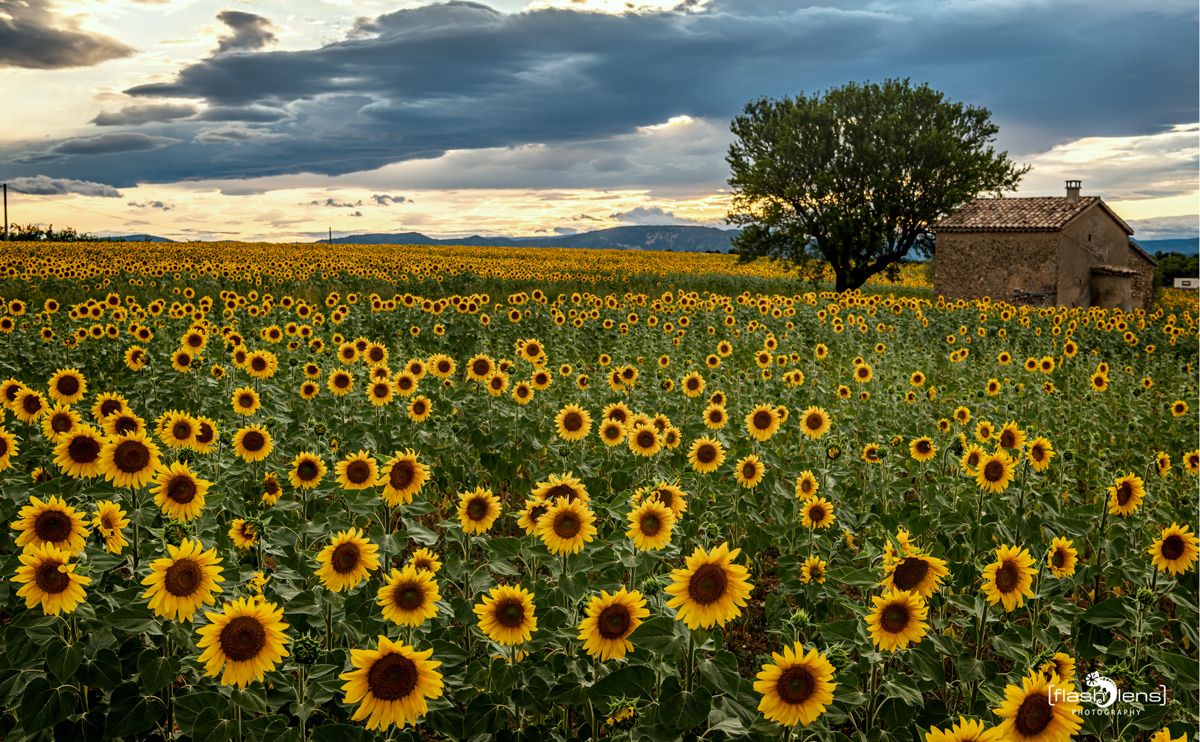 02 Haute Provence 009