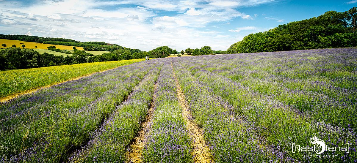 Petit Provence 005