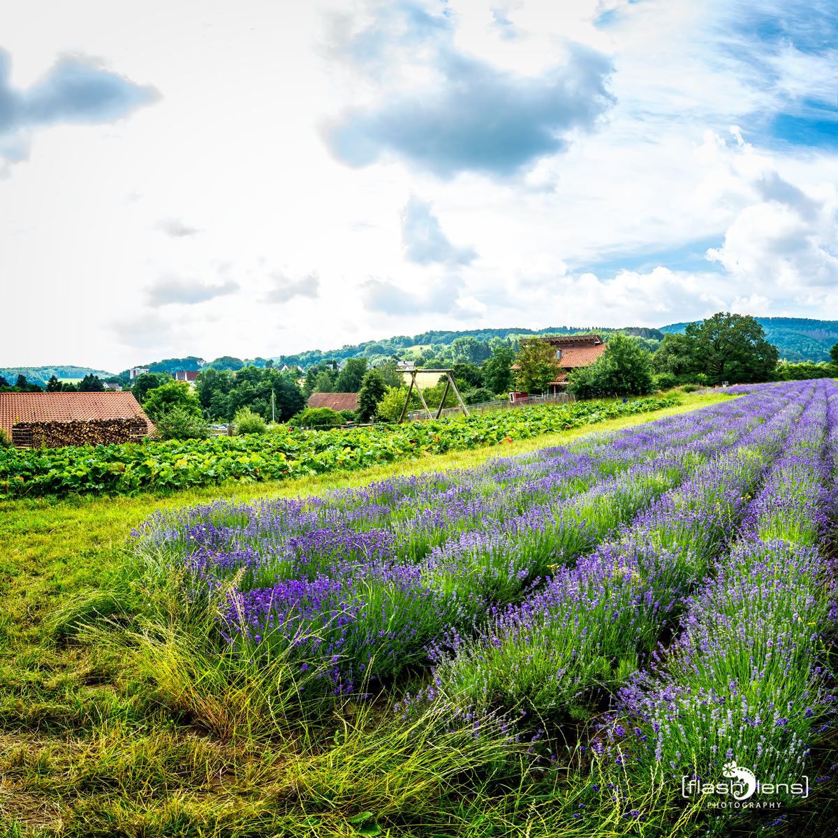 Petit Provence 016