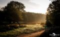 Wahner Heide 001