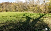 Holzbachschlucht 003