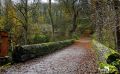 Holzbachschlucht 006