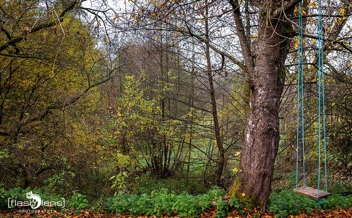 Holzbachschlucht 007