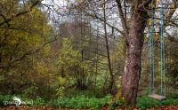 Holzbachschlucht 007