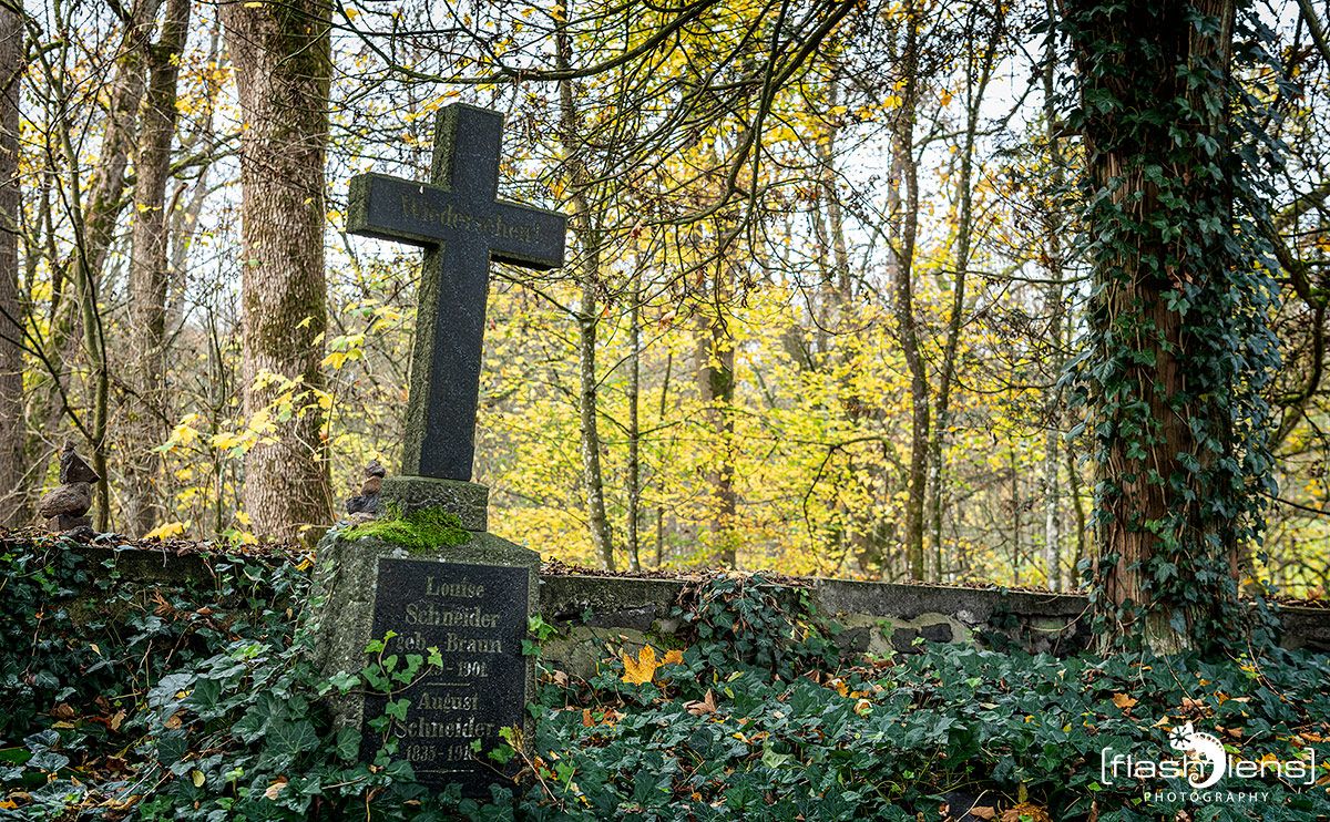 Holzbachschlucht 009