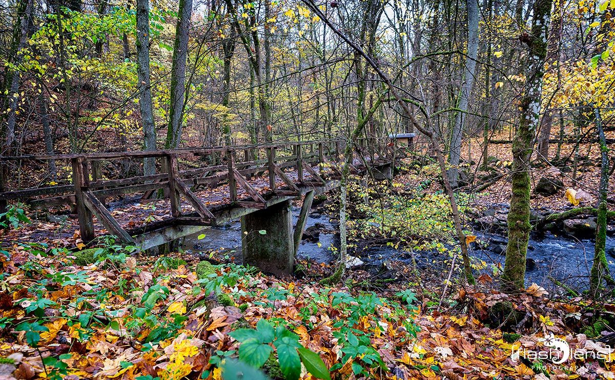 Holzbachschlucht 011