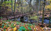 Holzbachschlucht 011