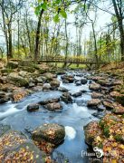 Holzbachschlucht 012