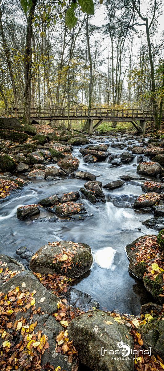 Holzbachschlucht 013