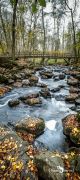 Holzbachschlucht 013