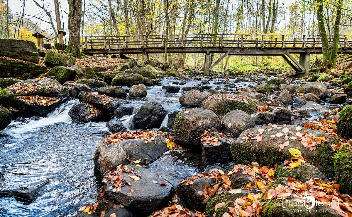 Holzbachschlucht 014