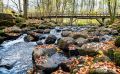 Holzbachschlucht 014