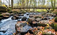 Holzbachschlucht 014