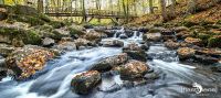 Holzbachschlucht 015