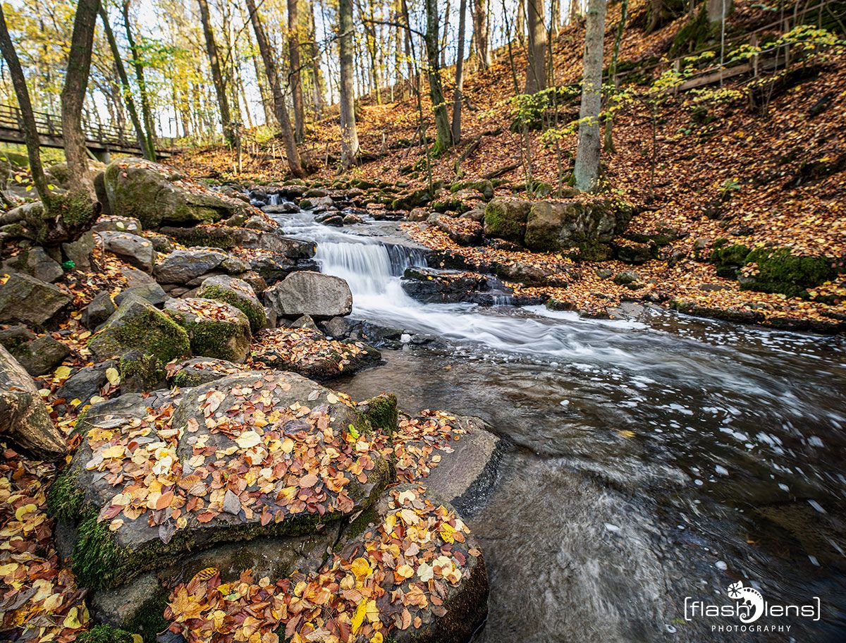 Holzbachschlucht 016
