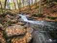 Holzbachschlucht 016