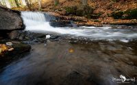 Holzbachschlucht 017
