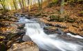 Holzbachschlucht 018