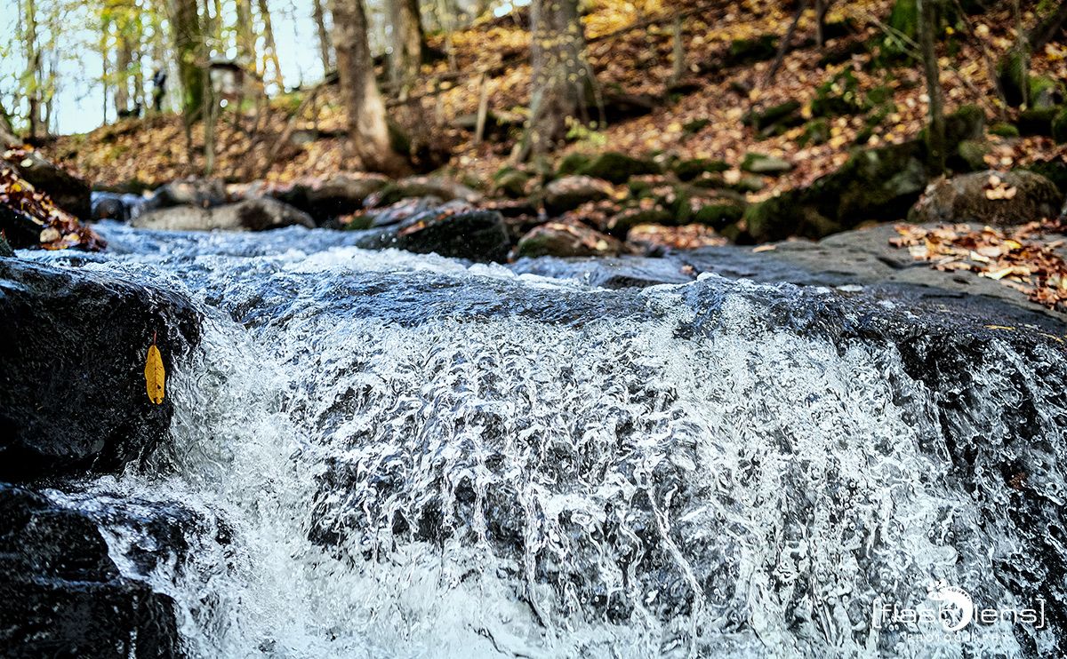Holzbachschlucht 019