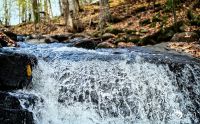 Holzbachschlucht 019