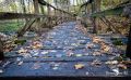 Holzbachschlucht 022