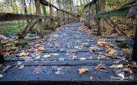 Holzbachschlucht 022