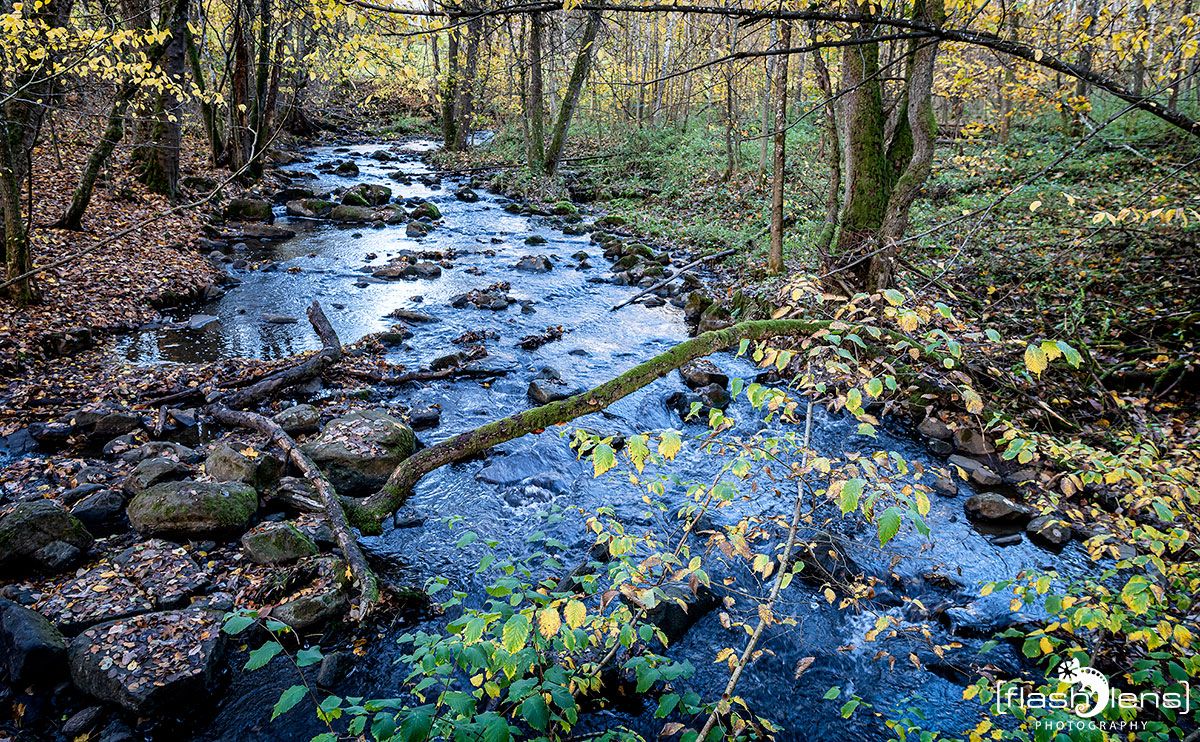 Holzbachschlucht 023