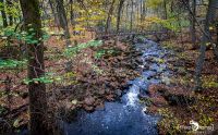 Holzbachschlucht 024