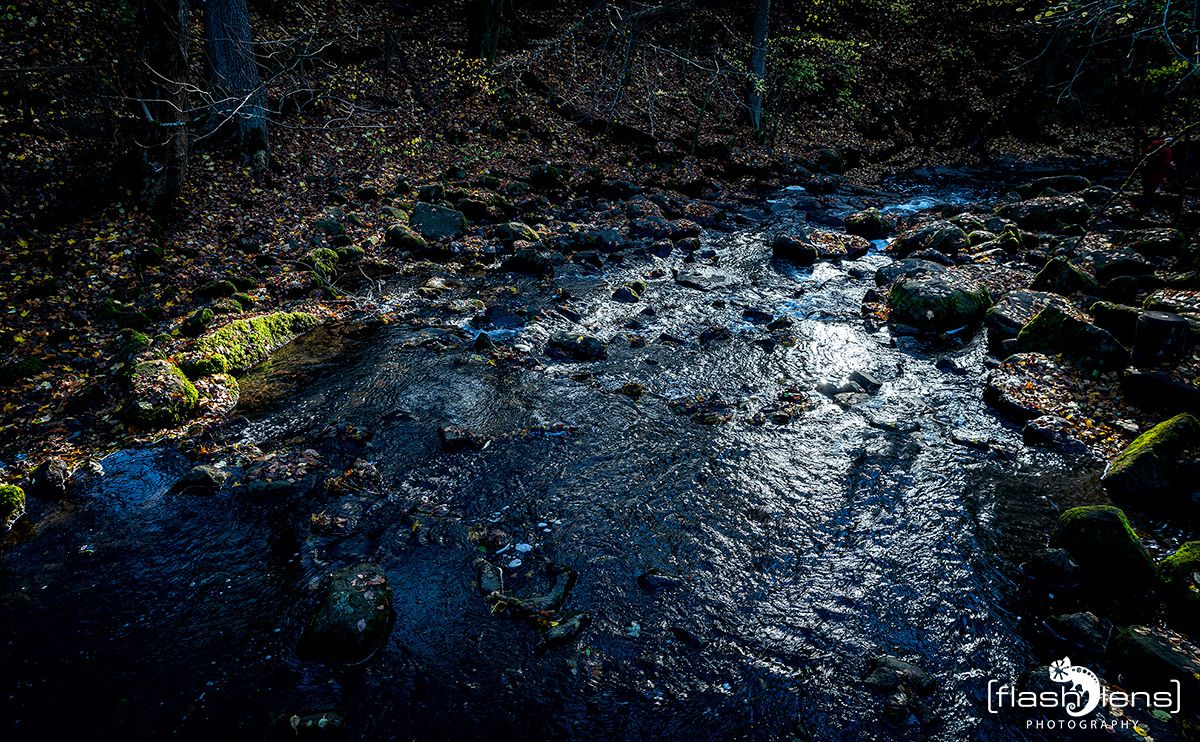Holzbachschlucht 025