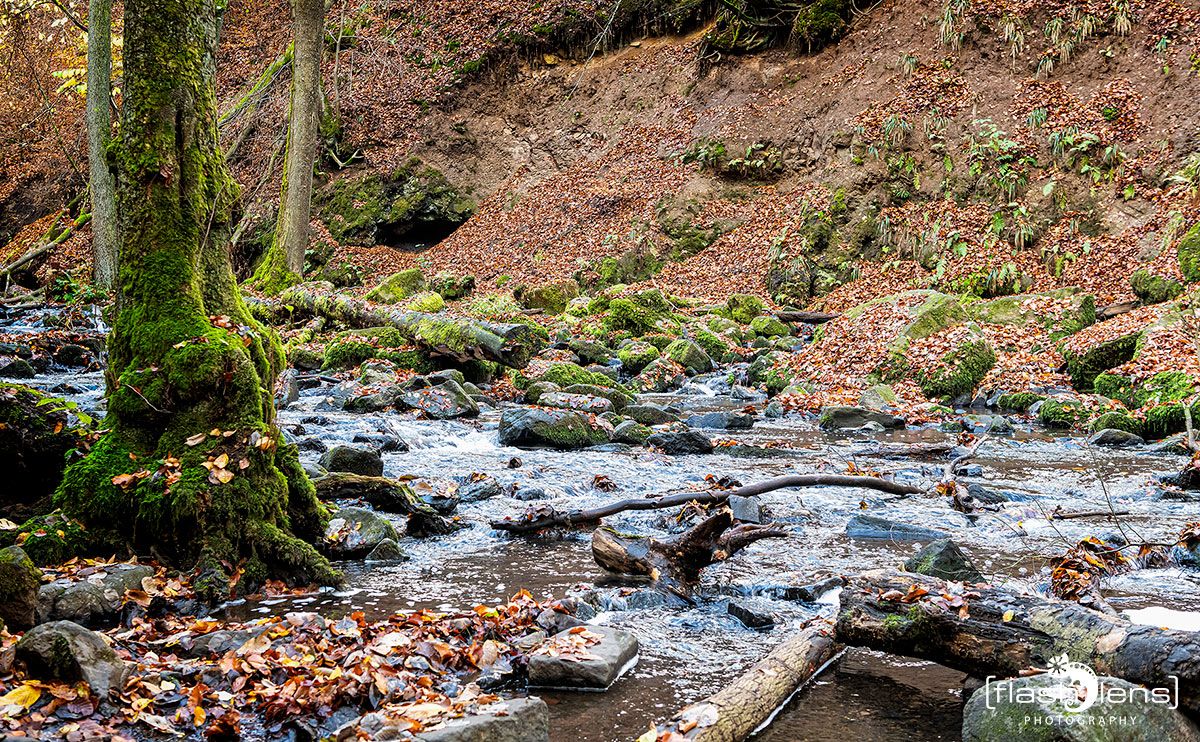 Holzbachschlucht 027