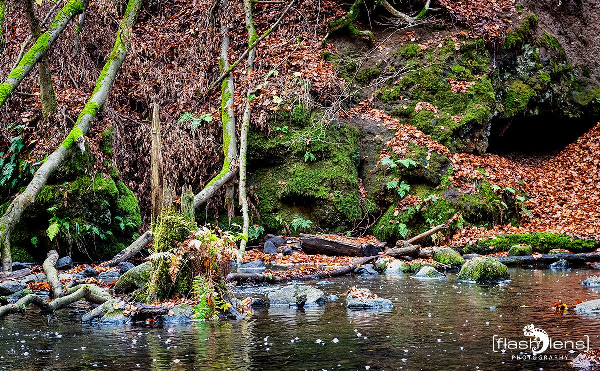 Holzbachschlucht 028