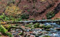 Holzbachschlucht 029