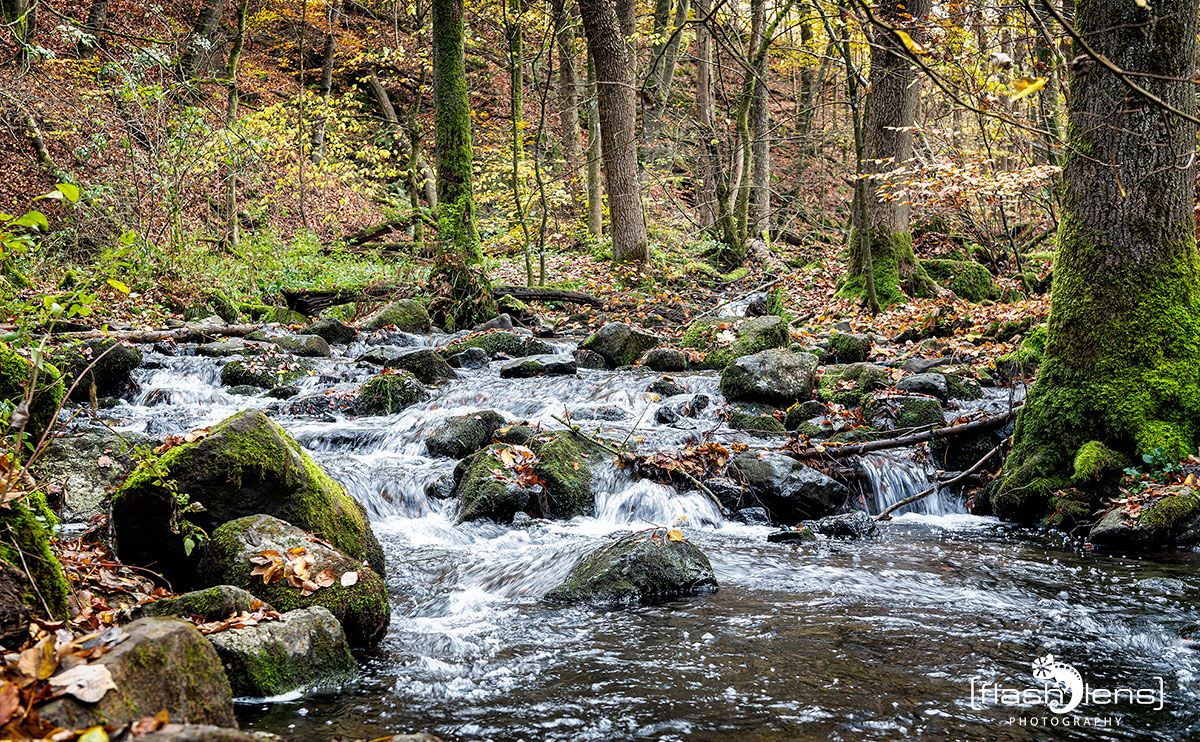 Holzbachschlucht 030