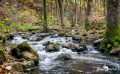 Holzbachschlucht 030