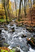 Holzbachschlucht 031